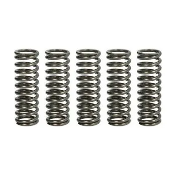 Spojkové pružiny TRW Aprilia 650 Pegaso Strada 05-09