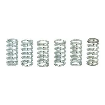 Spojkové pružiny TRW Suzuki GS 1000 G,GL 80-81