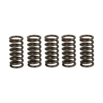 Spojkové pružiny TRW Suzuki GSX-R 125 18-21