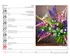 Kalendář Helma365 MiniMax Květiny 2024