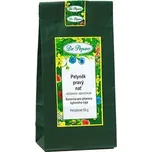 Dr. Popov Pelyněk pravý nať 50 g