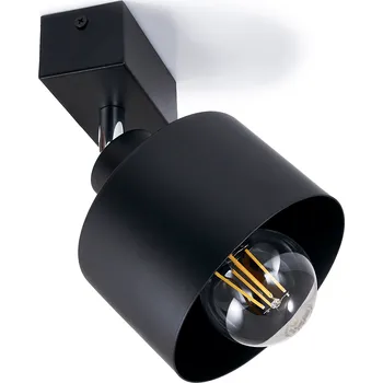 KOLORENO Přisazené stropní svítidlo ze série Retro & Loft: Loftinio 1xE27 - Černá