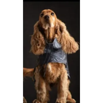 Obleček pro psa LIU JO Pláštěnka pro psy ocelově modrá s límcem a suchým zipem vel. L