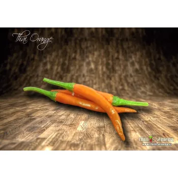 Semeno chilli-semena Thai Orange