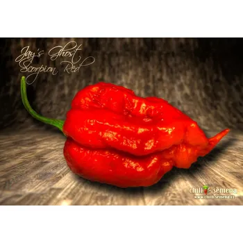 Semeno chilli-semena Jay's Ghost Scorpion Red