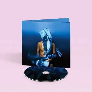 Zahraniční hudba CD Devendra Banhart: Flying Wig 2023