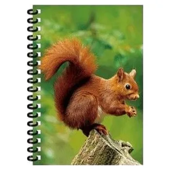 E-myslivost Dětský 3D zápisník pro malé myslivce - VEVERKA