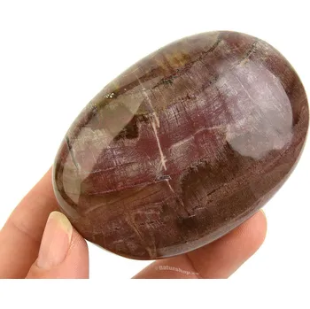 Přírodní kámen Hladký kámen zkamenělé dřevo (Madagaskar) 186g