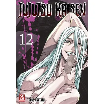 Komiks pro dospělé Jujutsu Kaisen - Band 12 - Akutami, Gege