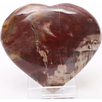 Drahý kámen Magieprirody.cz Srdce Zkamenělé dřevo 85x77 mm 210 g přírodní kámen #A24