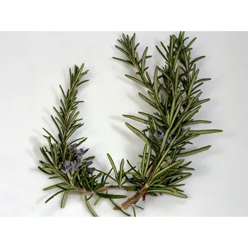 Vonný olej . Rozmarýnová silice Množství: 35 ml