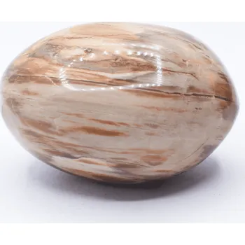 Přírodní kámen Milujeme Kameny Zkamenělé dřevo - tromlovaný kámen ZD13 352501