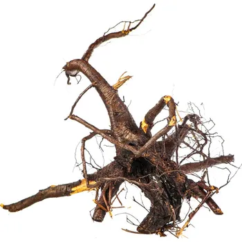 Dekorace do akvária Spider Web Root 40 - 70 cm