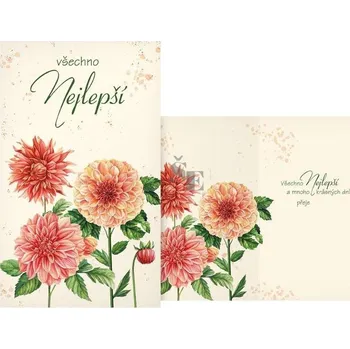 Blahopřání srdečné M11-545 H s textem