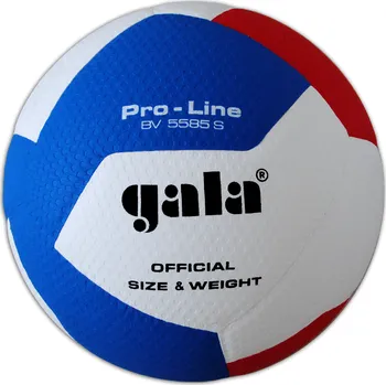 Volejbalový míč Gala Pro Line 10 BV 5585 S