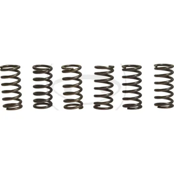 Sada spojkových pružin SUZUKI GN 250 All rok 85-99