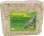 Lucky Reptile Sphagnum Moss