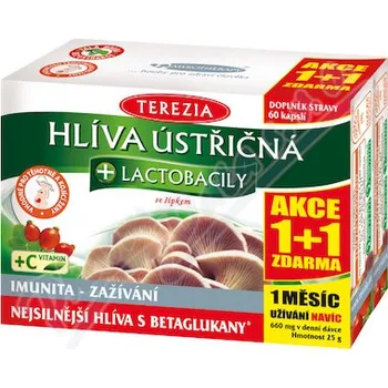 TEREZIA Hlíva ústřičná+lactob.cps.60+60 AKCE 1+1