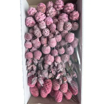 Zahradní dekorace SORTIMENT ON WIRE FROSTED ERIKA TRAY ( 100 PC )