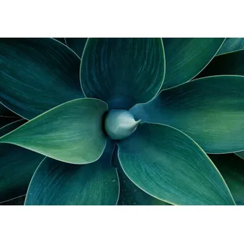 Plakát Plakát, Obraz - Floral freen pattern, Kira-Yan