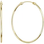 EVOLUTION GROUP CZ Pozlacené stříbrné náušnice kruhy 40mm - 61008
