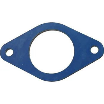 Příslušenství k čerpadlu SIGMA PUMPY 1 1/4"EFRU těsnění příruby (12626)