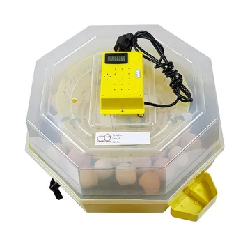 Umělá líheň Ipee Amiral Trading Cleo 5 DTHW