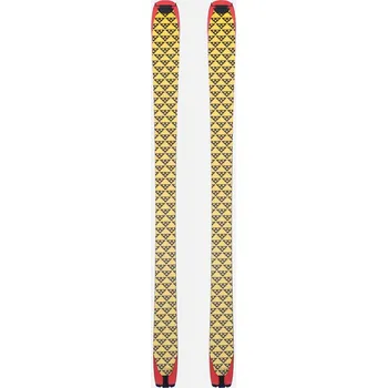 Sjezdové lyže Black Crows Pilus Camox Freebird (Yellow/Black 157)