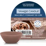 Yankee Candle Vonný vosk 22 g