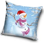 Carbotex Vánoční povlak na polštářek 40…