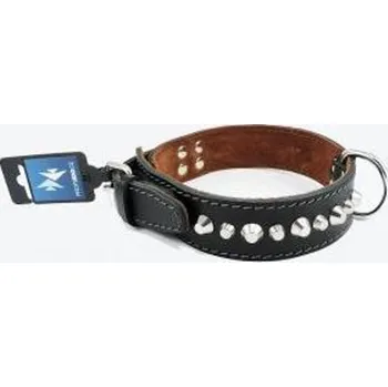 Obojek pro psa B&F Moloss černý