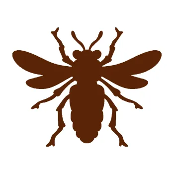 Samolepící dekorace Moucha 006 (15 - hnědá) SAMOLEPKA NA AUTO, NÁLEPKA, FÓLIE, POLEP, TUNING, VLASTNÍ TEXT, TISK, AUTOSAMOLEPKY.cz, POLEPY, OBRÁZEK, LOGO, 3D STICKERS