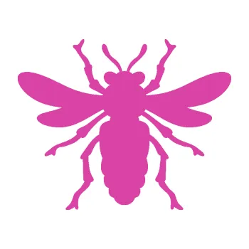 Samolepící dekorace Moucha 006 (16 - růžová) SAMOLEPKA NA AUTO, NÁLEPKA, FÓLIE, POLEP, TUNING, VLASTNÍ TEXT, TISK, AUTOSAMOLEPKY.cz, POLEPY, OBRÁZEK, LOGO, 3D STICKERS