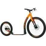 CRUSSIS CROSS Hard 6.2-2 2023