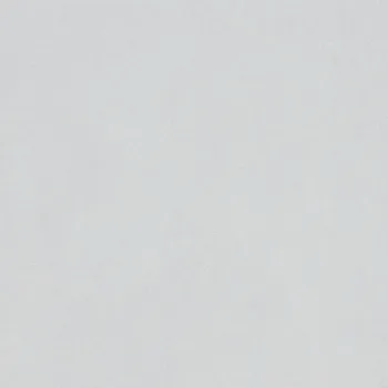 Dlažba La Futura Concrete allure Argent Dlažba 60x60 cm, AVA0A1A