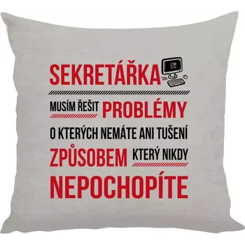 Polštář Polštář lněný 40x40 cm Musím řešit problémy - sekretářka