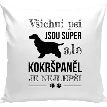 Polštář Polštář bílý 40x40 cm Kokršpaněl je nejlepší