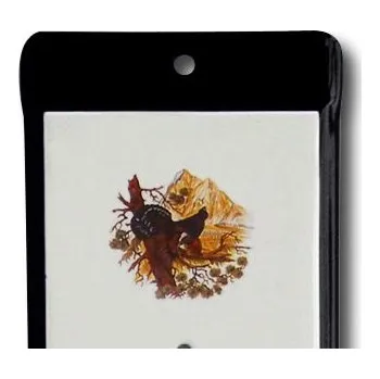 Domácí teploměr Venkovní teploměr smaltovaný, Černobílý 860x140 mm, Motiv Tetřev