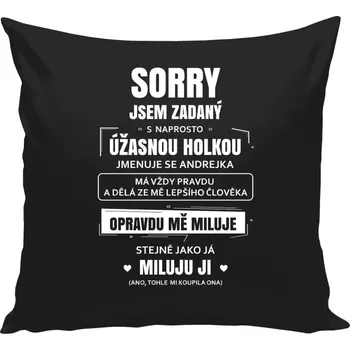 Polštář Polštář černý 40x40 cm Sorry, jsem zadaný