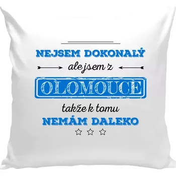 Polštář Polštář bílý 40x40 cm Nejsem dokonalý, ale jsem z ...