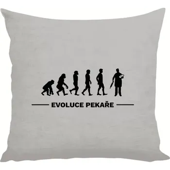 Polštář Polštář lněný 40x40 cm Evoluce - pekař