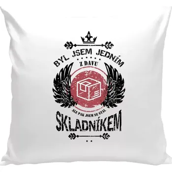 Polštář Polštář bílý 40x40 cm Byl jsem jedním z davu, ale pak jsem se stal skladníkem
