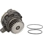 Vodní (pumpa) čerpadlo RENAULT MAGNUM; VOLVO B, FH , FM, NH (1992-) 18576