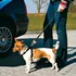 Vodítko pro psa Trixie Bezpečnostní spojka k autopásu XS/S 20 mm 30-45 cm černá