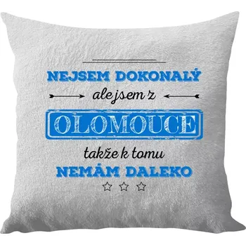 Polštář Polštář bílý 40x40 cm - dlouhý chlup Nejsem dokonalý, ale jsem z ...