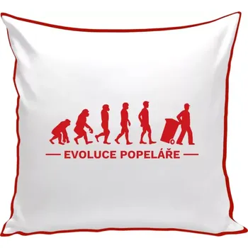 Polštář Polštář barevný 32x32 cm Evoluce - popelář