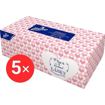 Papírový kapesník LINTEO Box (5× 200 ks)