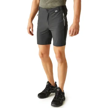 Pánské kraťasy Pánské kraťasy Regatta MOUNTAIN II tmavě šedá S