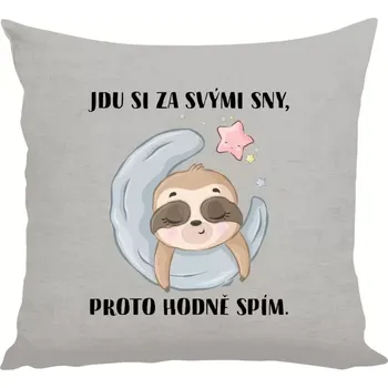Polštář Polštář lněný 40x40 cm Jdu si za svými sny, proto hodně spím