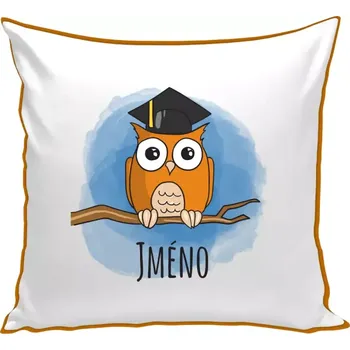 Polštář Polštář barevný 32x32 cm Sovička